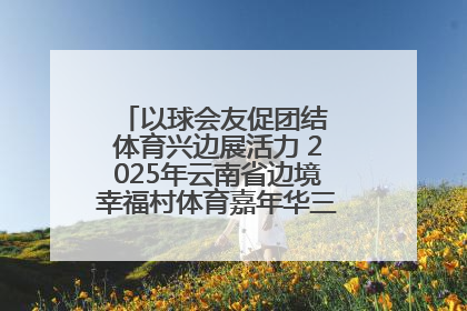 以球会友促团结 体育兴边展活力 2025年云南省边境幸福村体育嘉年华三人篮球赛圆满收官