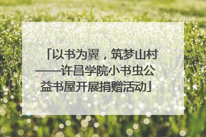 以书为翼，筑梦山村——许昌学院小书虫公益书屋开展捐赠活动