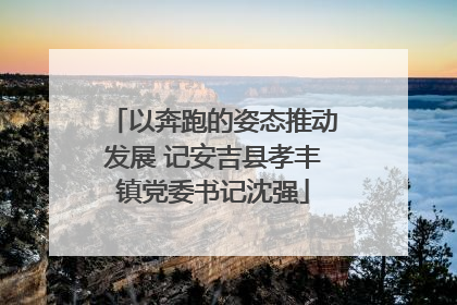 以奔跑的姿态推动发展 记安吉县孝丰镇党委书记沈强