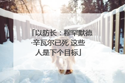 以防长：穆罕默德·辛瓦尔已死 这些人是下个目标
