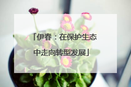 伊春：在保护生态中走向转型发展