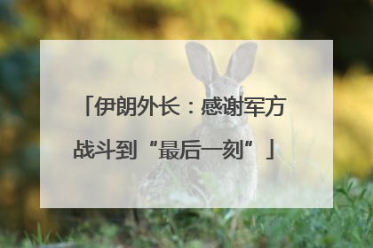伊朗外长：感谢军方战斗到“最后一刻”