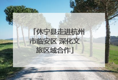 休宁县走进杭州市临安区 深化文旅区域合作