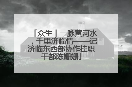众生丨一脉黄河水，千里济临情——记济临东西部协作挂职干部陈姗姗