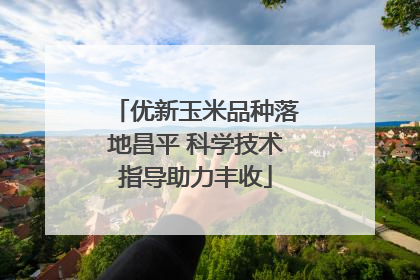 优新玉米品种落地昌平 科学技术指导助力丰收