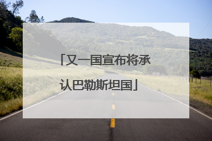 又一国宣布将承认巴勒斯坦国
