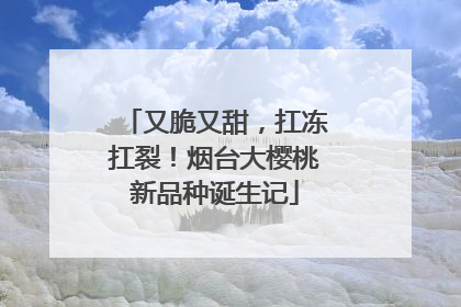 又脆又甜，扛冻扛裂！烟台大樱桃新品种诞生记