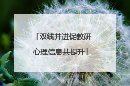 双线并进促教研 心理信息共提升