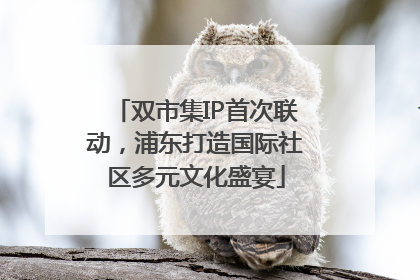 双市集IP首次联动，浦东打造国际社区多元文化盛宴