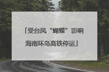 受台风“蝴蝶”影响 海南环岛高铁停运
