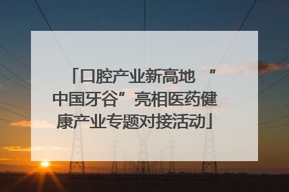 口腔产业新高地 “中国牙谷”亮相医药健康产业专题对接活动