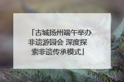 古城扬州端午举办非遗游园会 深度探索非遗传承模式