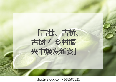 古巷、古桥、古树 在乡村振兴中焕发新姿