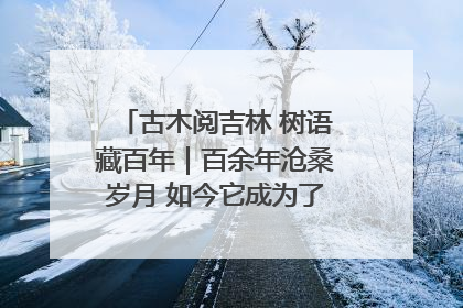古木阅吉林 树语藏百年｜百余年沧桑岁月 如今它成为了“镇园之宝”