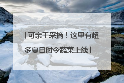 可亲手采摘！这里有超多夏日时令蔬菜上线