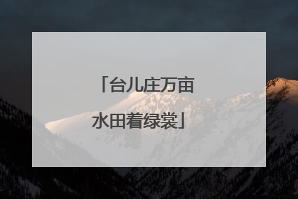 台儿庄万亩水田着绿裳