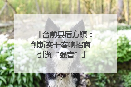 台前县后方镇：创新实干奏响招商引资“强音”