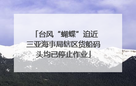 台风“蝴蝶”迫近 三亚海事局辖区货船码头均已停止作业
