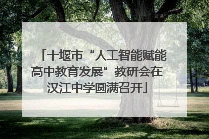 十堰市“人工智能赋能高中教育发展”教研会在汉江中学圆满召开