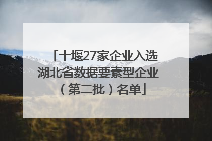 十堰27家企业入选湖北省数据要素型企业（第二批）名单