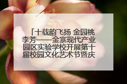 十载韵飞扬 金园桃李芳——金寨现代产业园区实验学校开展第十届校园文化艺术节暨庆“六一”系列活动
