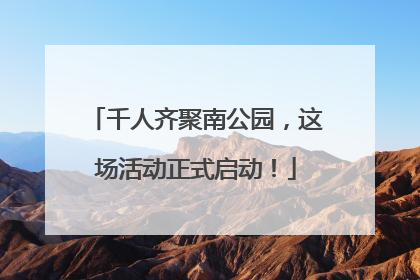 千人齐聚南公园，这场活动正式启动！