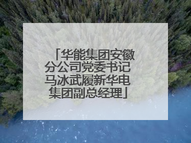 华能集团安徽分公司党委书记马冰武履新华电集团副总经理