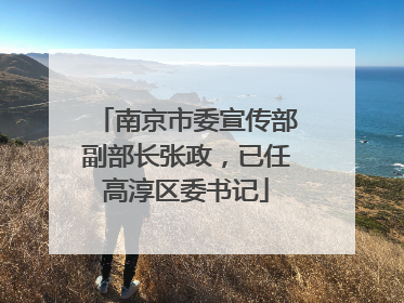 南京市委宣传部副部长张政，已任高淳区委书记