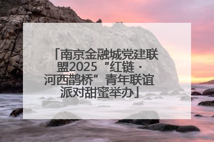 南京金融城党建联盟2025“红链・河西鹊桥”青年联谊派对甜蜜举办