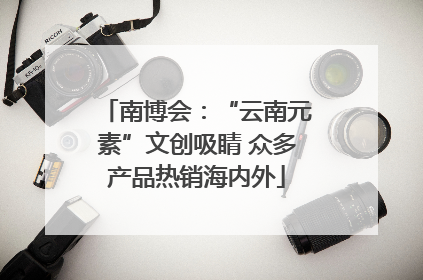南博会：“云南元素”文创吸睛 众多产品热销海内外