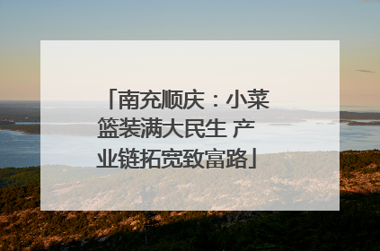 南充顺庆：小菜篮装满大民生 产业链拓宽致富路