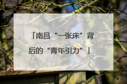南昌“一张床”背后的“青年引力”