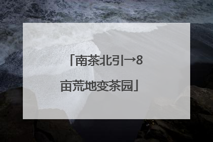 南茶北引→8亩荒地变茶园