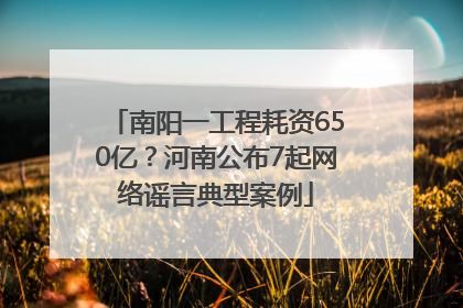 南阳一工程耗资650亿？河南公布7起网络谣言典型案例