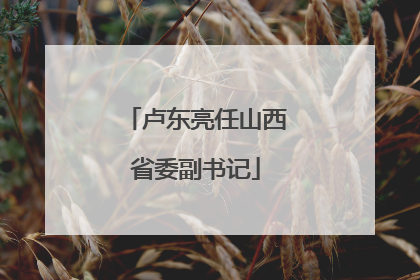 卢东亮任山西省委副书记