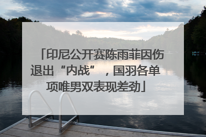 印尼公开赛陈雨菲因伤退出“内战”，国羽各单项唯男双表现差劲