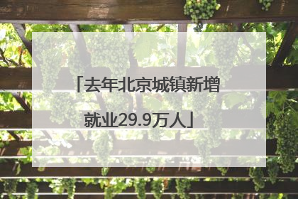 去年北京城镇新增就业29.9万人