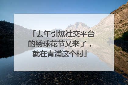 去年引爆社交平台的绣球花节又来了，就在青浦这个村