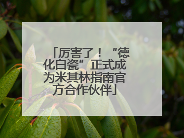 厉害了！“德化白瓷”正式成为米其林指南官方合作伙伴