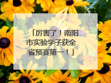 厉害了！南阳市实验学子获全省预赛第一！