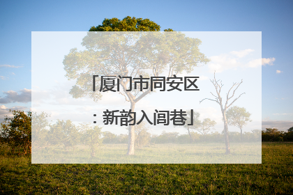 厦门市同安区：新韵入闾巷
