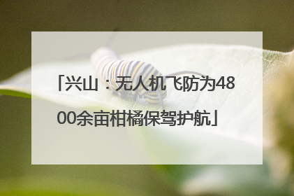 兴山：无人机飞防为4800余亩柑橘保驾护航