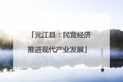 元江县：民营经济推进现代产业发展