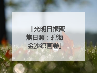 光明日报聚焦日照：碧海金沙织画卷