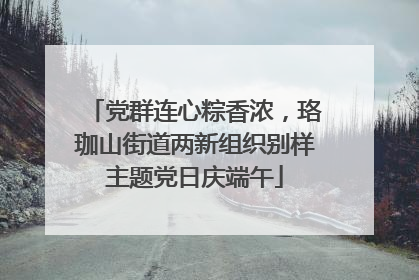 党群连心粽香浓，珞珈山街道两新组织别样主题党日庆端午