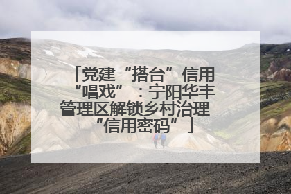 党建“搭台”信用“唱戏”：宁阳华丰管理区解锁乡村治理“信用密码”
