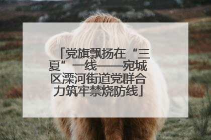 党旗飘扬在“三夏”一线——宛城区溧河街道党群合力筑牢禁烧防线
