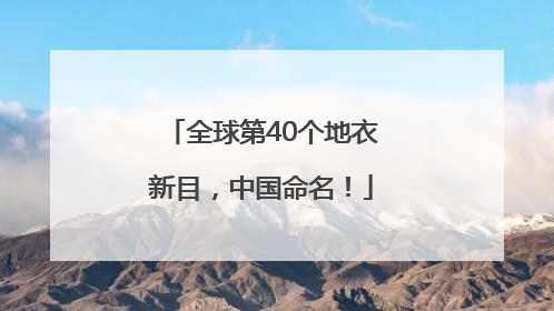 全球第40个地衣新目，中国命名！