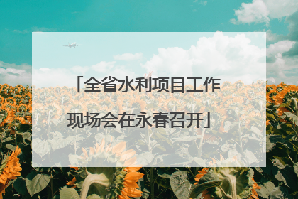 全省水利项目工作现场会在永春召开