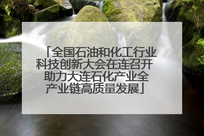 全国石油和化工行业科技创新大会在连召开 助力大连石化产业全产业链高质量发展